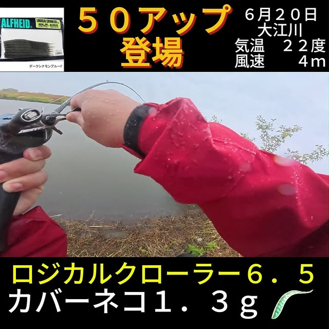 大江川でのバスフィッシング投稿