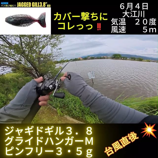 大江川のカバーを攻略する投稿