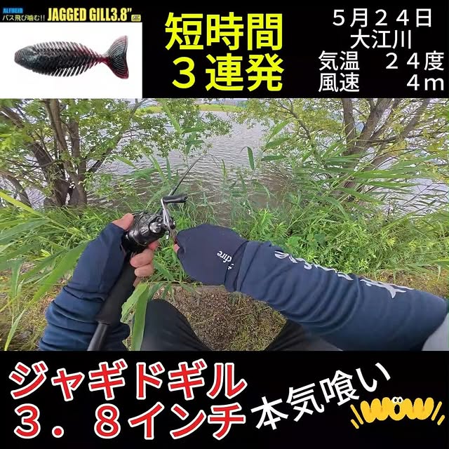ジャギドギルを使ったカバー攻略